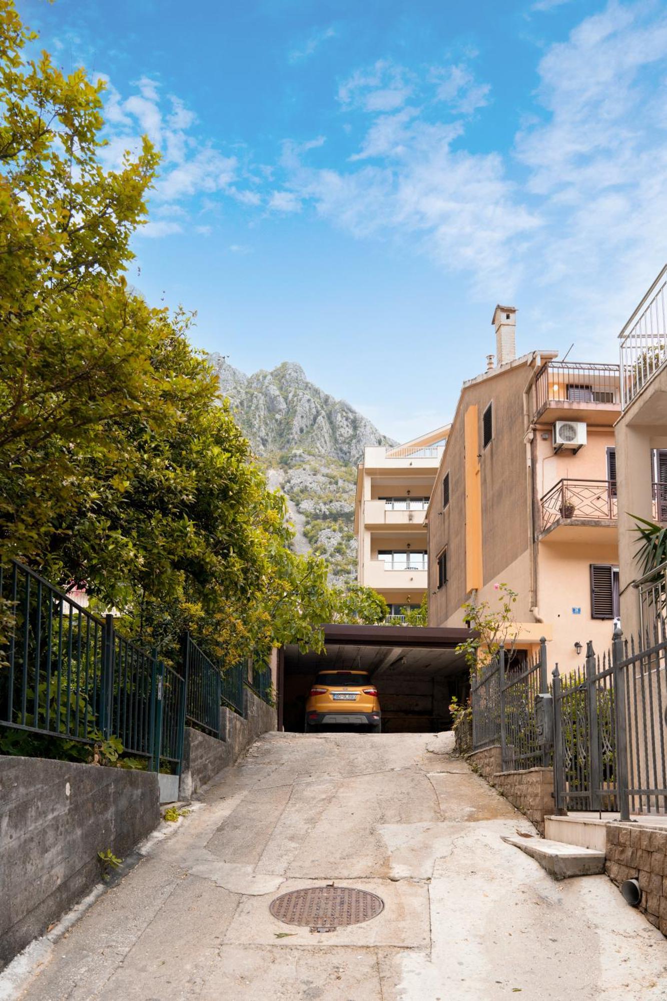 Apartment Busola Kotor Eksteriør billede